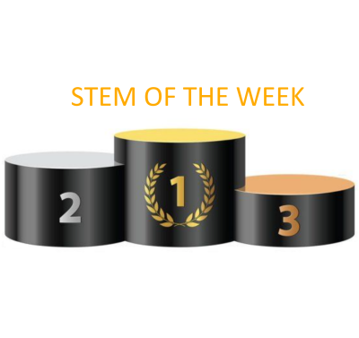 Bục STEAM OF THE WEEK. STEMBOX_BUC_2